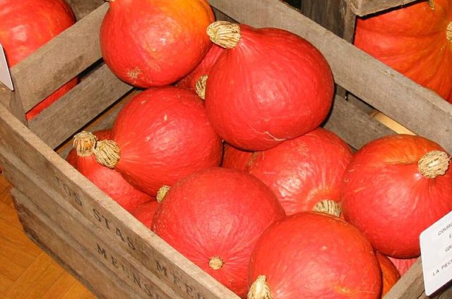 Petits potimarrons au comté