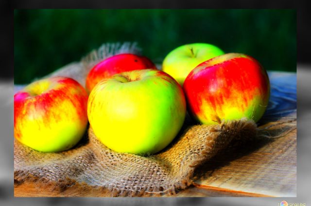 Quatre quart d’automne