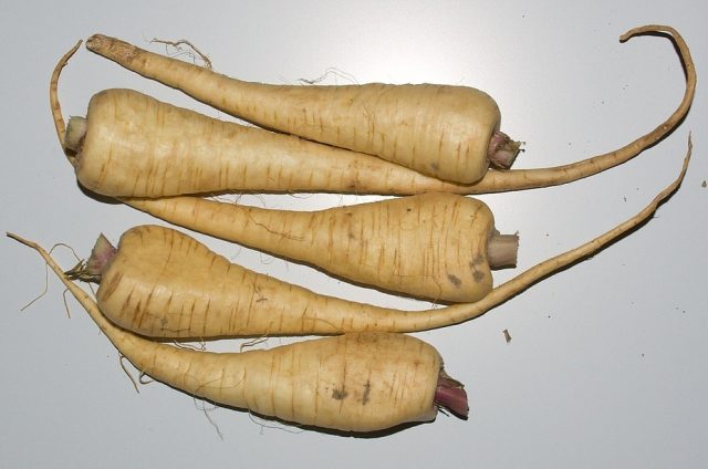 la soupe panais poireaux