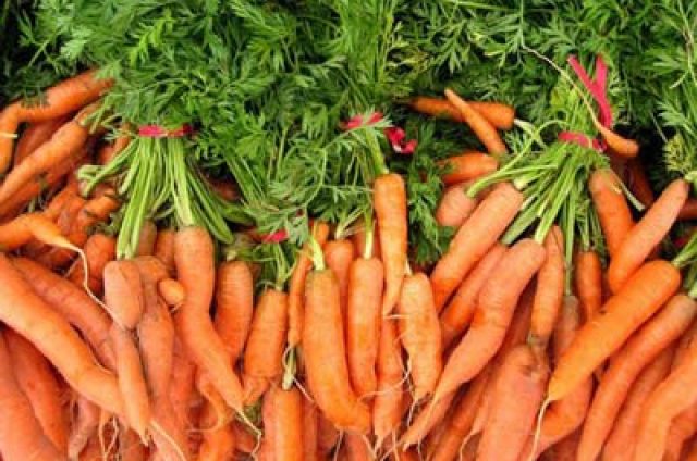 CAROTTES NOUVELLES SAUTÉES AUX RAISINS SECS