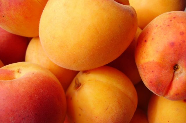 Flan aux abricots croquant d’amandes