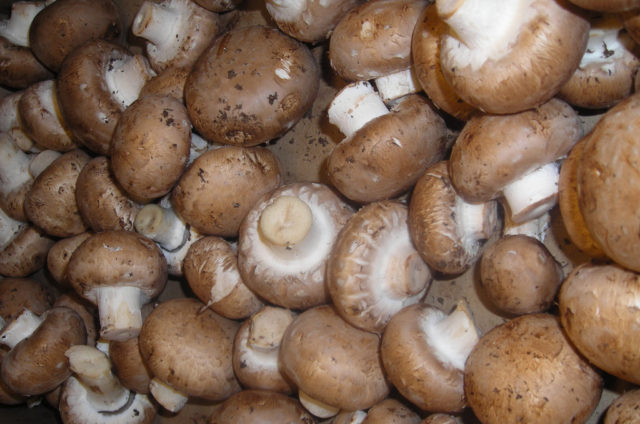Des boulettes aux champignons