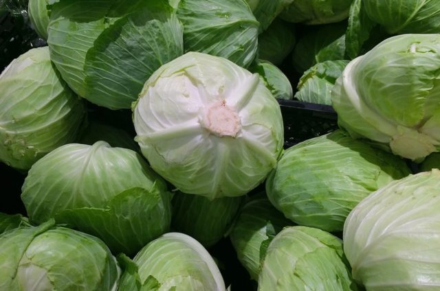 Salade de chou