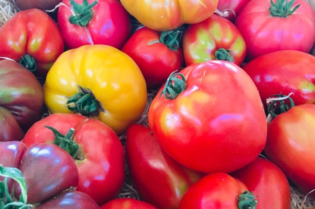Tarte à la tomate